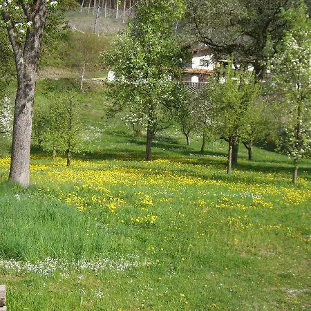 Apartment Britzerhof Mayrhofen